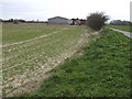Field near Woodstock Farm in PE33 9BD