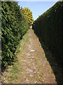 Footpath between the Houses at Sandy Down in SO41 8PL
