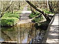 Ford and Footbridge crossing the Lymington River by Roydon Manor in SO41 8PJ