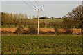 Electricity poles across the fields in OX29 4SZ