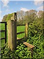 Stile by Stogursey Lane in TA5 1JS