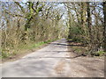 The Lane from Rodlease House to The Old Mill House in SO41 5PB
