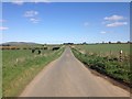 Minor road near Little Auchnarie in AB43 6NY