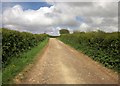 Track near Nether Stowey in TA5 1JZ