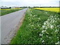 South Fen Road approaching Bourne in Bourne Austerby Ward