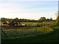 Footpath Junction, Albourne Equestrian Centre in BN6 9JE