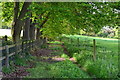 Footpath under the trees, near Itchen Abbas in SO21 1BW