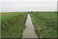 West Common South Drain in DN17 3AW
