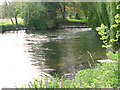 Taverham Mill Fishery mill pool in NR8 6HU