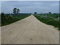 Farm track off Spring Lane, Shouldham in PE33 9HX