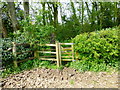 Footpath gate to byway near Hurst Farm in RG25 2QB