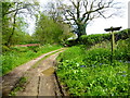 Signpost on byway near Hurst Farm in RG25 2QB