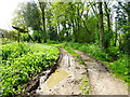 Junction on byway near Hurst Farm in RG25 2QB