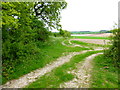 Farm track near Lee Farm in RG25 2NZ