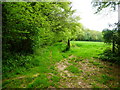 Track between field edge and High Wood in RG25 2PR