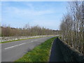 Ogston New Road - North View in DE55 6AP