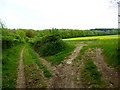 Byway and track into field in RG25 2PR