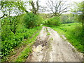 Section of byway north of Bagmore Lane in RG25 2QG