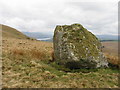 Glacial erratic in Llandderfel Community