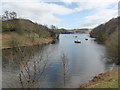 Scene on Llyn Clywedog in SY18 6NX