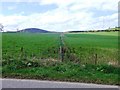 Field boundary near Tornaveen in AB31 4PA