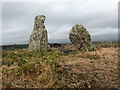 Church remains nr Llangewydd in Laleston Community