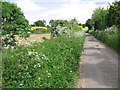 View along Back Lane in NR12 7AQ