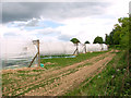 Polytunnels by Grange Farm in NR12 7AQ
