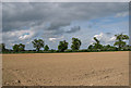 Cultivated field north of Dye's Road in NR13 4DH
