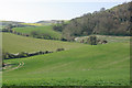 Downland near Chillerton in PO30 3EW