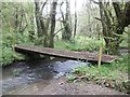 Footbridge in Vicarage Wood in EX36 3EW