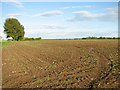Cultivated field beside Heath Road in NR29 5HL
