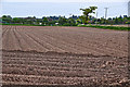 Malvern Hills District : Ploughed Field in WR2 5GP
