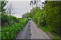 Malvern Hills District : Country Lane in WR2 6PB