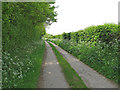 Track to Larks in the Wood, Pentlow in CO10 7JN