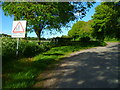 Sharp bend on Shalden Lane in Bentworth & Froyle Ward