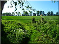 Footpath through crop going west from Shalden Lane in Bentworth & Froyle Ward