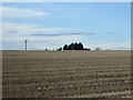 Stubble field near Pitcow in AB21 0QW