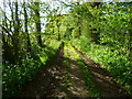 Footpath between fields to Lasham in GU34 5FZ