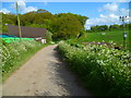 Path passing farm buildings south east of Lasham in GU34 5FZ