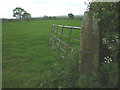 Cut bench mark on gatepost, Gardener's Lane in Claughton