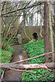 Stream under Gribble Bridge Lane in TN27 8BS