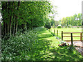 Path linking All Saints church and the War Memorial in NR21 0EX