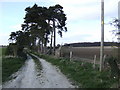Farm road east of Methwold in IP26 4PD