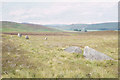 Standing stones on southern slopes of Long Goat in DD8 5EX