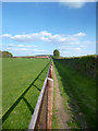 Fence & Footpath in RG10 8QE