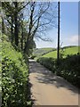 Lane past Dartshill Copse in TQ7 4DS