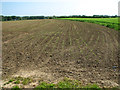 Cultivated fields by Upper Wood Farm in NR29 3JQ