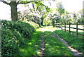Footpath to Mautby Hall in NR30 5ST