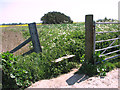 Obsolete stile beside the path to the River Bure in NR30 5SP